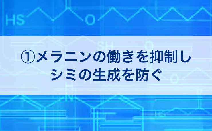 ①メラニンの働きを抑制しシミの生成を防ぐ