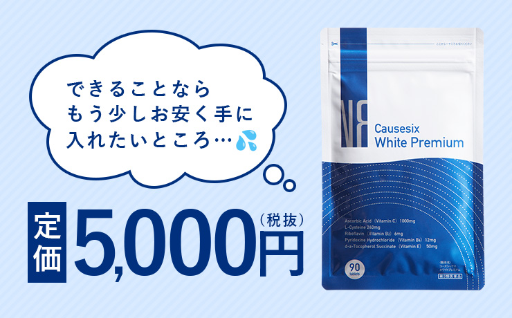 定価5,000円(税抜) できることならもう少しお安く手に入れたいところ…